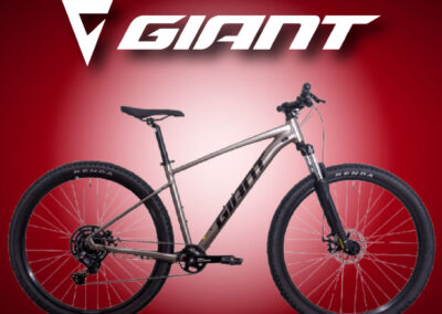 BICICLETA GIANT TALON 4 CUES 1X9 MEC  (BA-081)