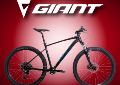 BICICLETA GIANT TALON 2 HID 1X11  (BA-086)